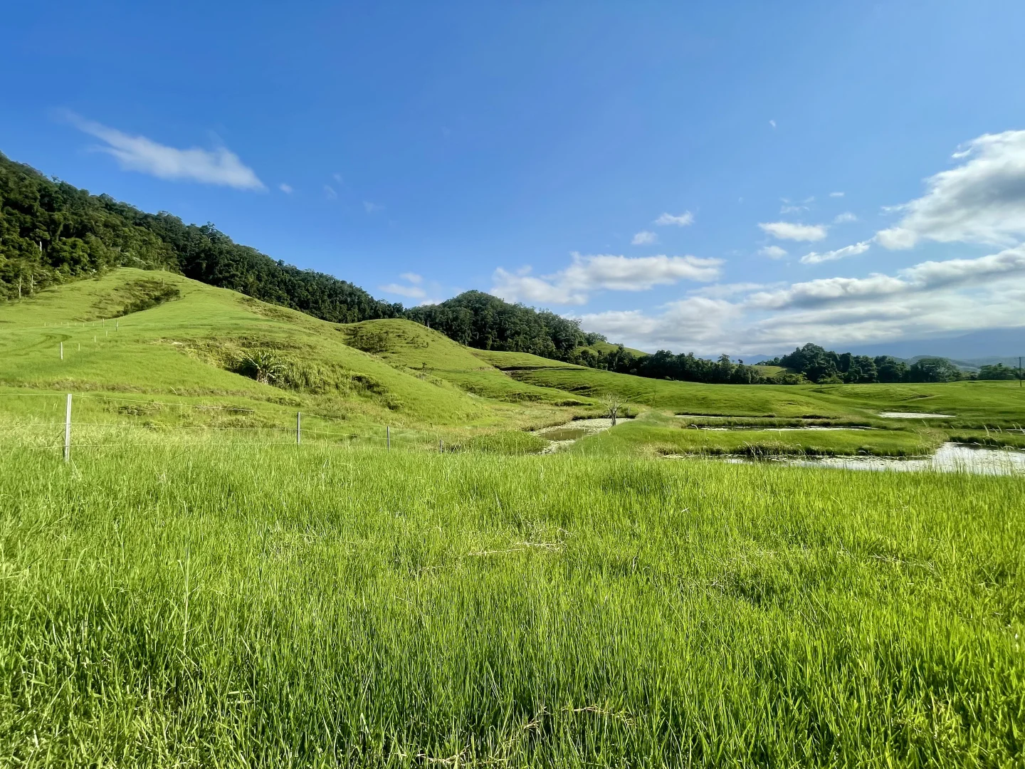 Additional image 12 of 141 Stewart Creek Road, Stewart Creek Valley, Daintree QLD 4873