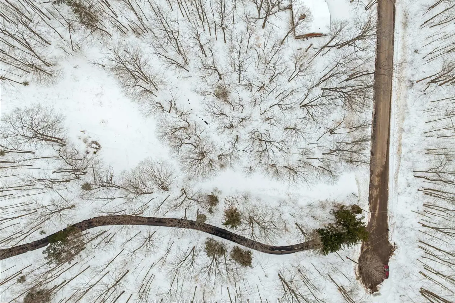 Additional image 15 of 430 Churchill Avenue