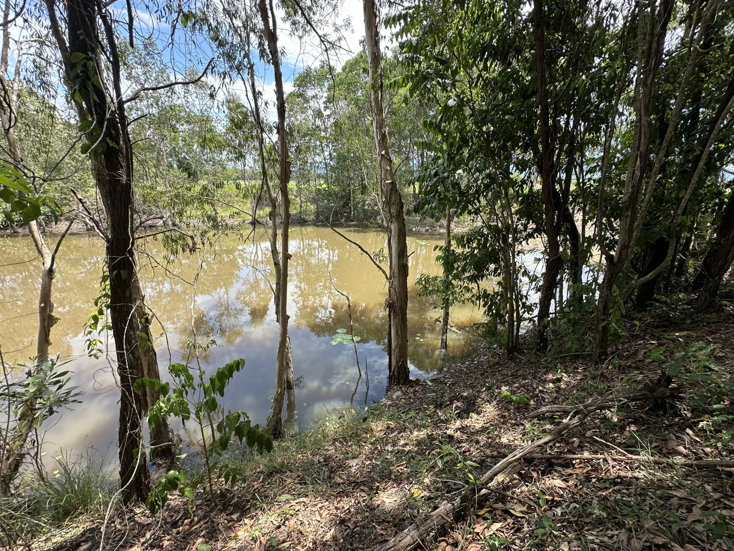 Additional image 20 of 680 Bluff Road, Bilyana QLD 4854