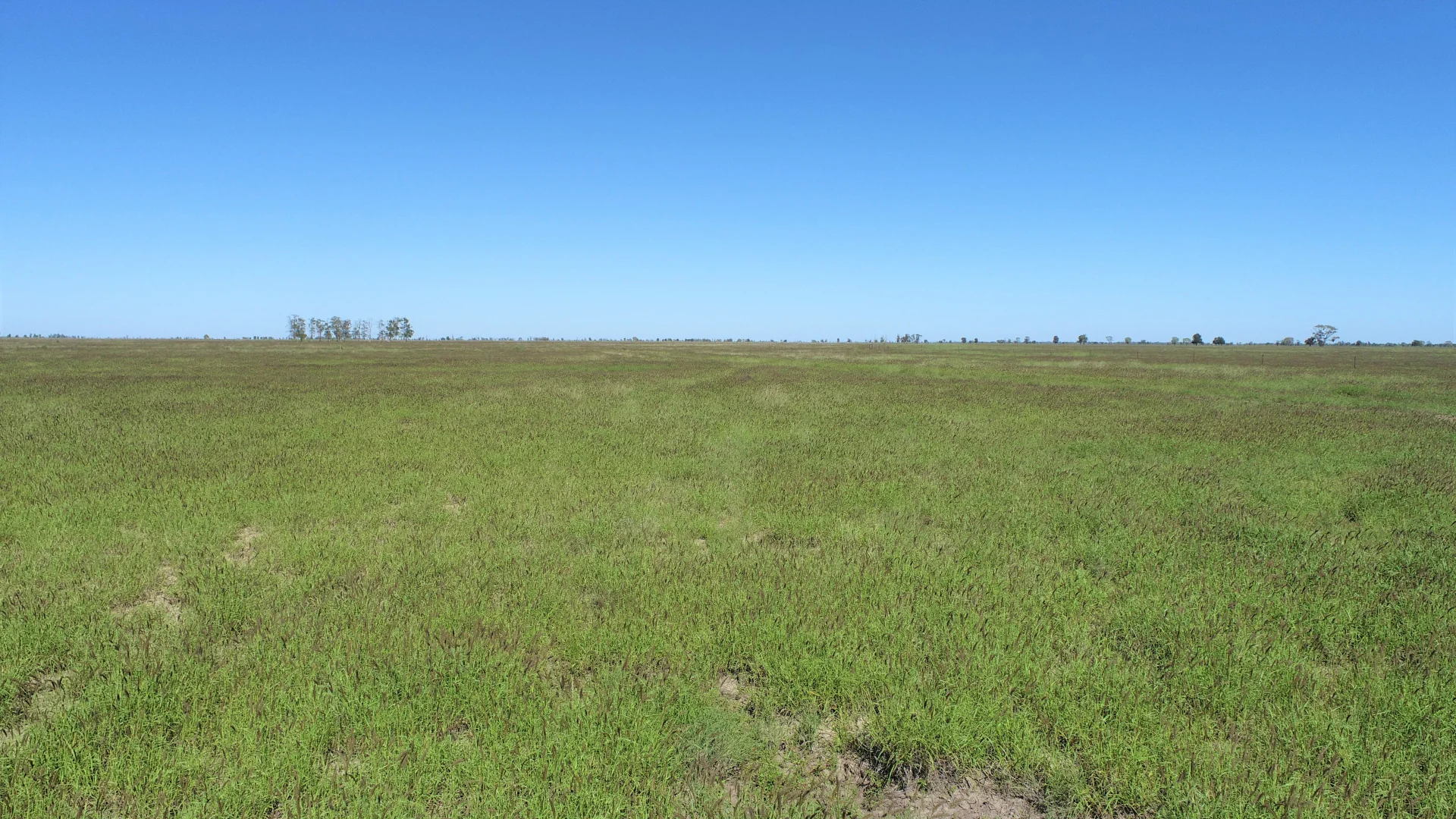 Additional image 30 of "Bonavista" 13724 Mitchell - St George road, Roma QLD 4455