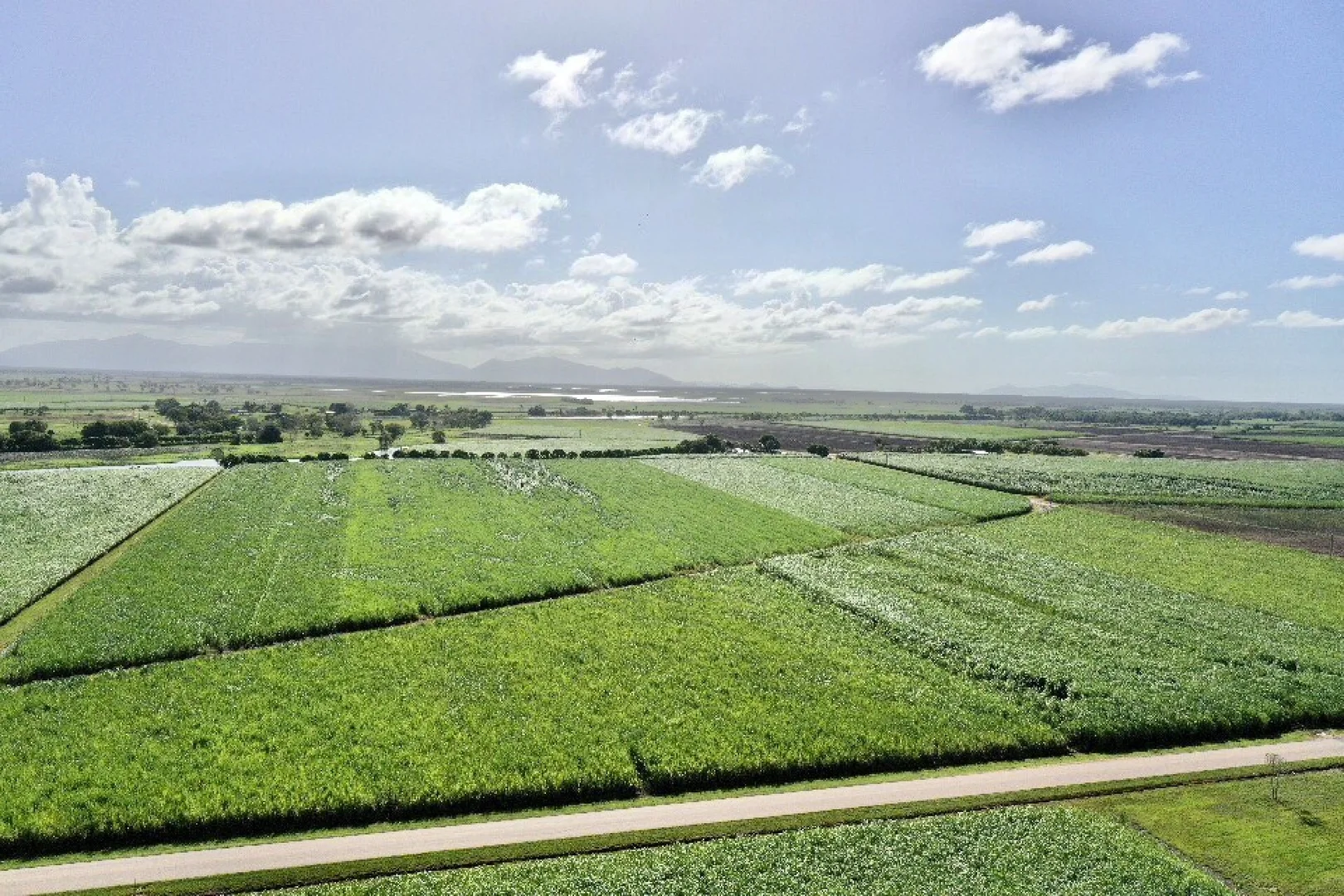 Additional image 19 of 67 Hillier Road, Brandon QLD 4808