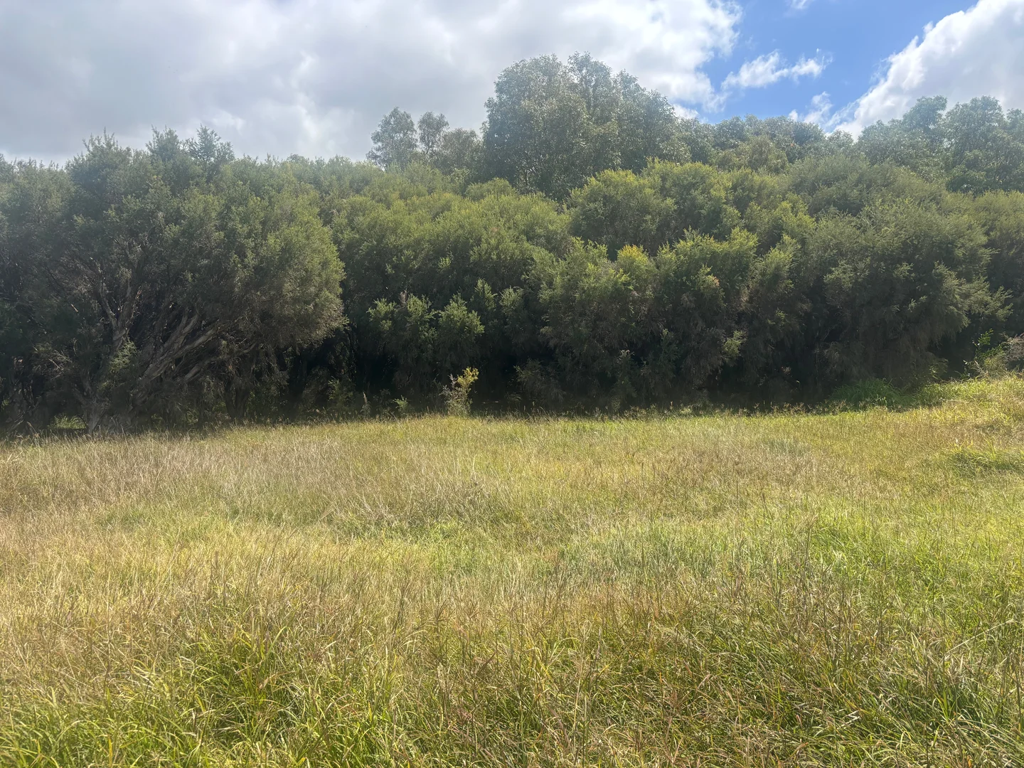 Additional image 16 of 9500 Chapman Valley Road, Narra Tarra WA 6532