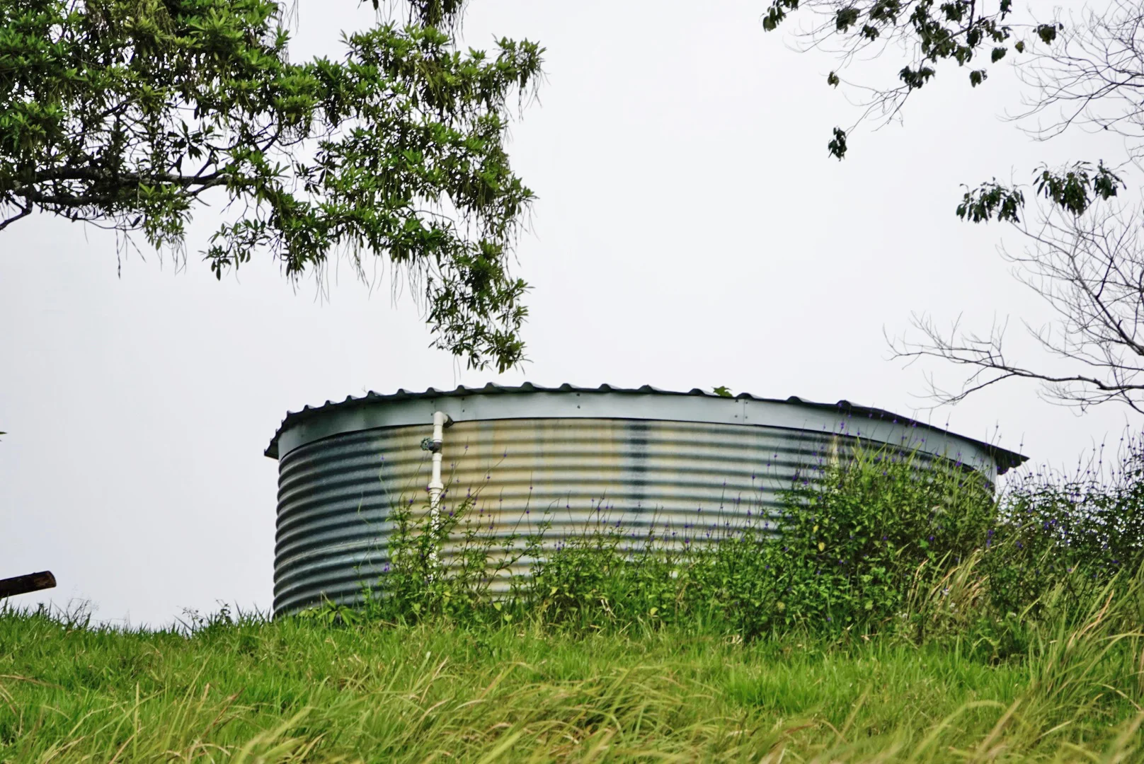 Additional image 49 of 1297 Mossman - Mt Molloy Rd, Julatten QLD 4871