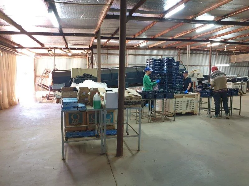 Additional image 13 of 137 North River Road, North Plantations WA 6701