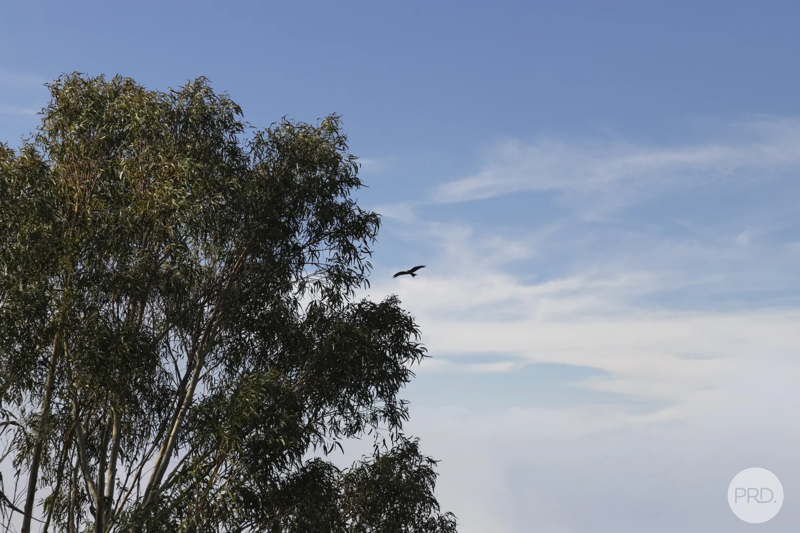 Additional image 16 of 195 Four Star Road, Creswick VIC 3363