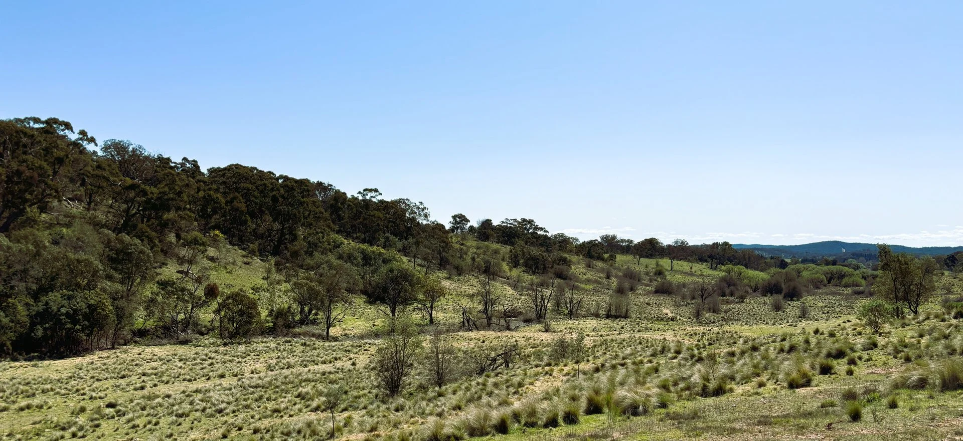 Additional image 2 of 22 Top Flat Lane, Wamboin NSW 2620