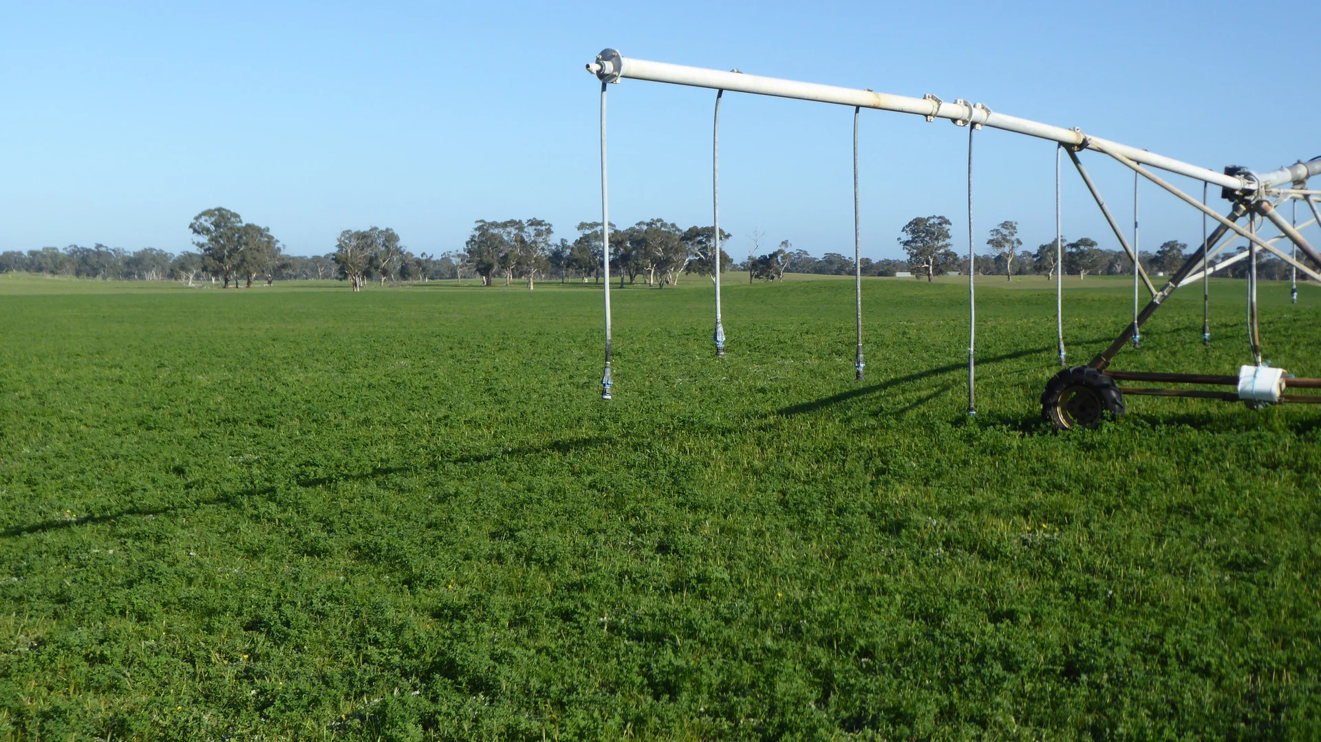 Additional image 22 of "Wyruna" 2989 Naracoorte Road, Western Flat SA 5268