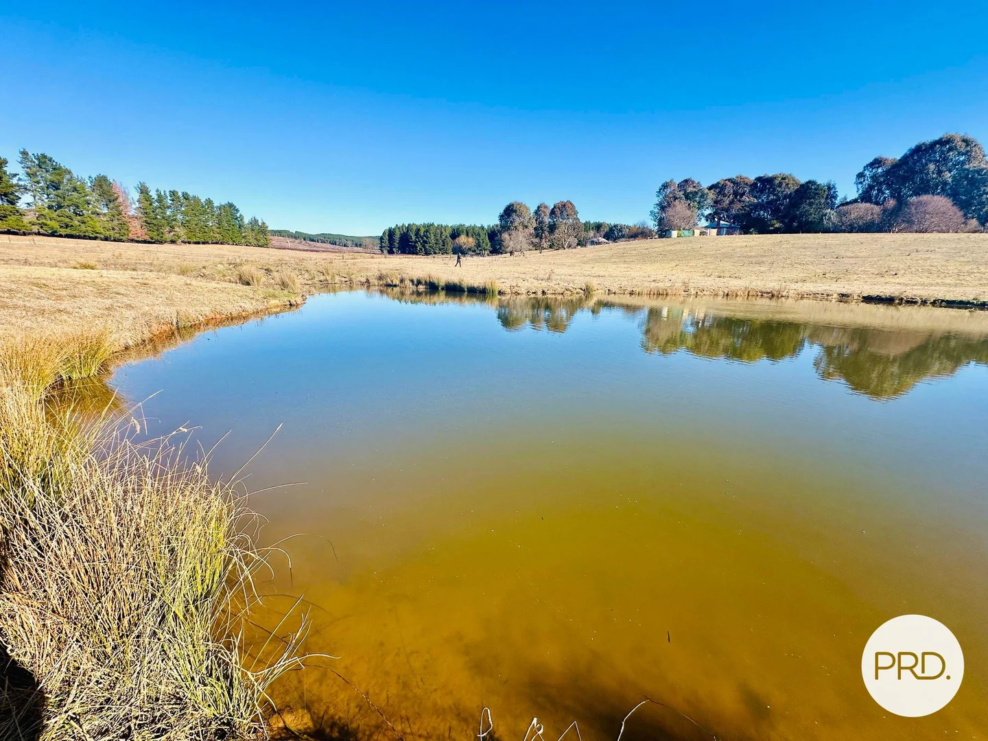 Additional image 25 of 233 Logans Road, Tumbarumba NSW 2653