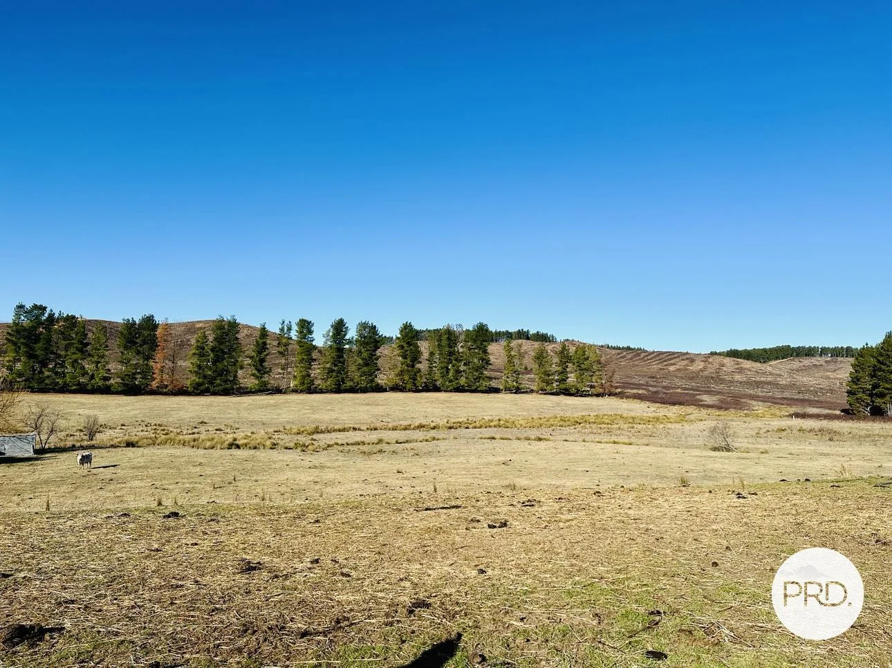 Additional image 20 of 233 Logans Road, Tumbarumba NSW 2653