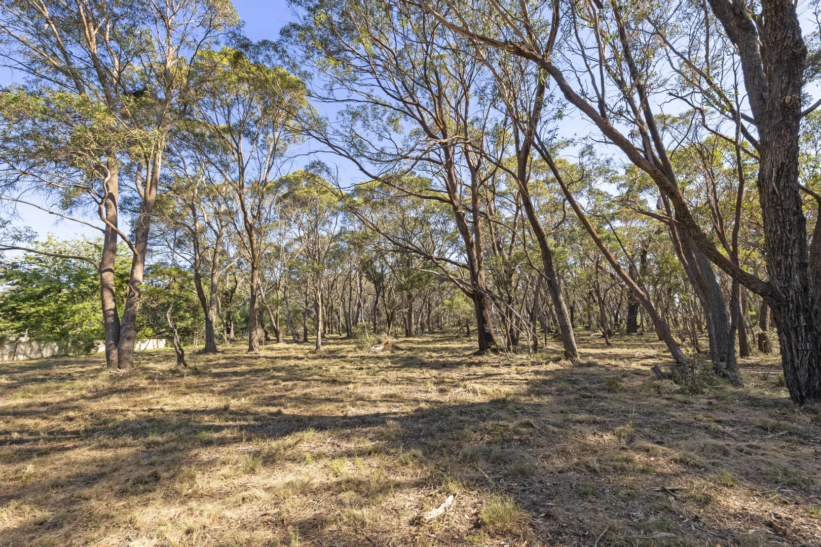 Additional image 8 of 26 Forest Park Road, Blackheath NSW 2785