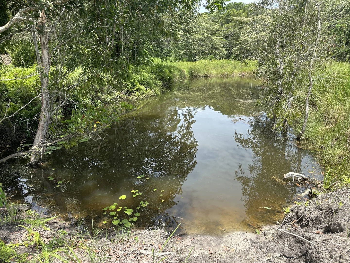 Additional image 5 of 680 Bluff Road, Bilyana QLD 4854