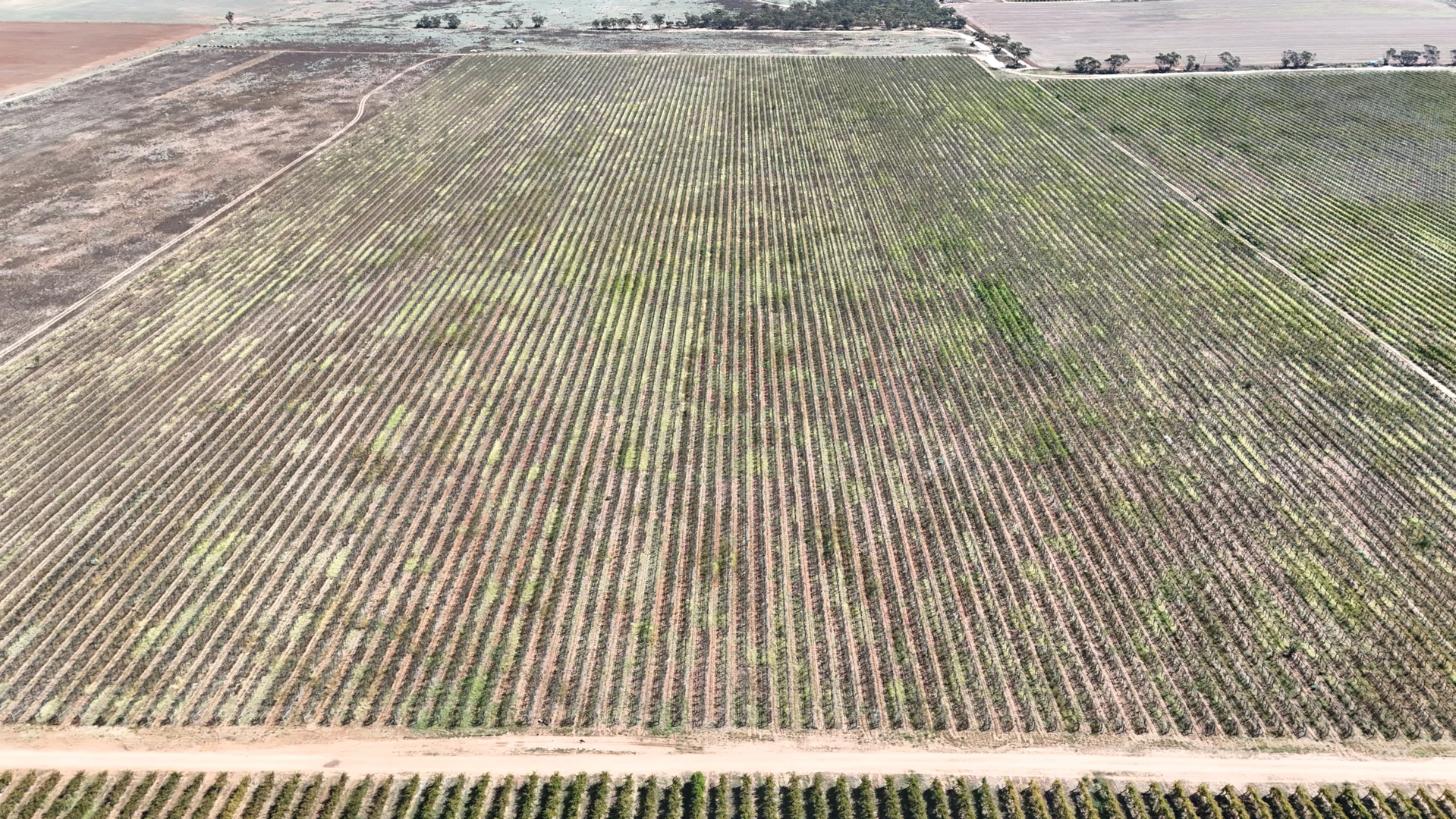 Additional image 20 of 595 Woorinen Road, Swan Hill VIC 3585