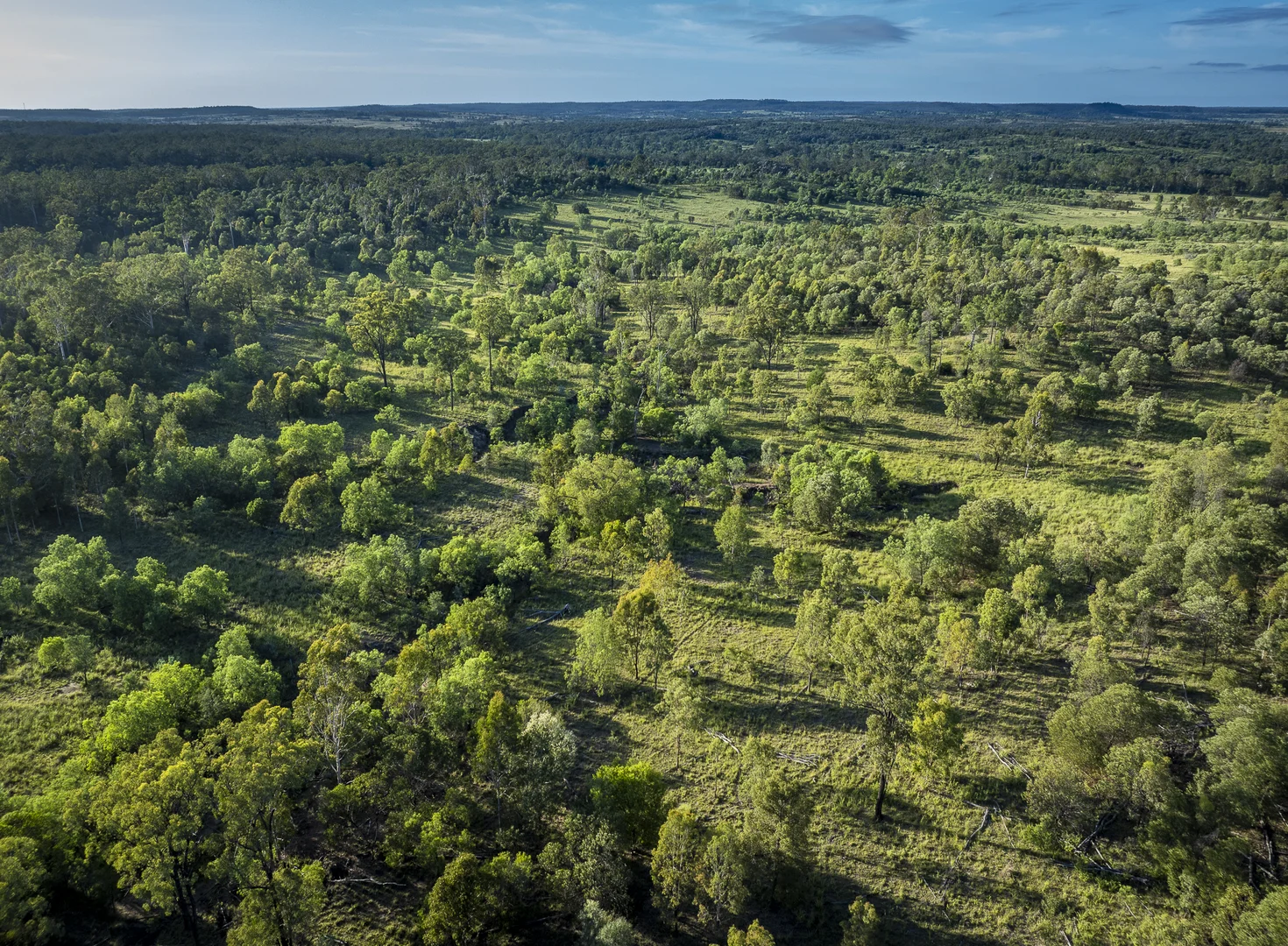 Additional image 21 of 833 Fosters Road, Guluguba QLD 4418