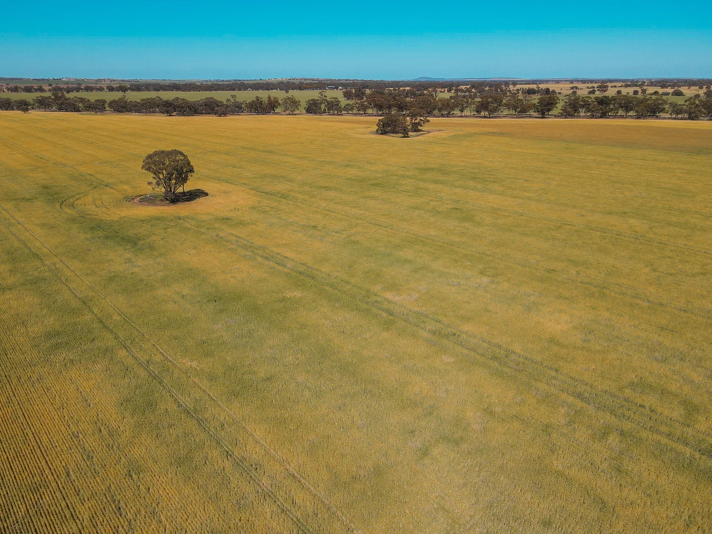 Additional image 16 of Teddywaddy VIC 3527