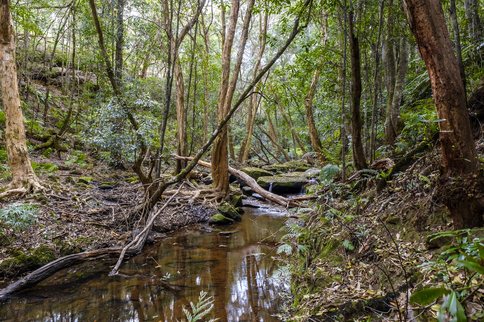 Additional image 13 of 66 Baileys Lane, Kurrajong Hills NSW 2758