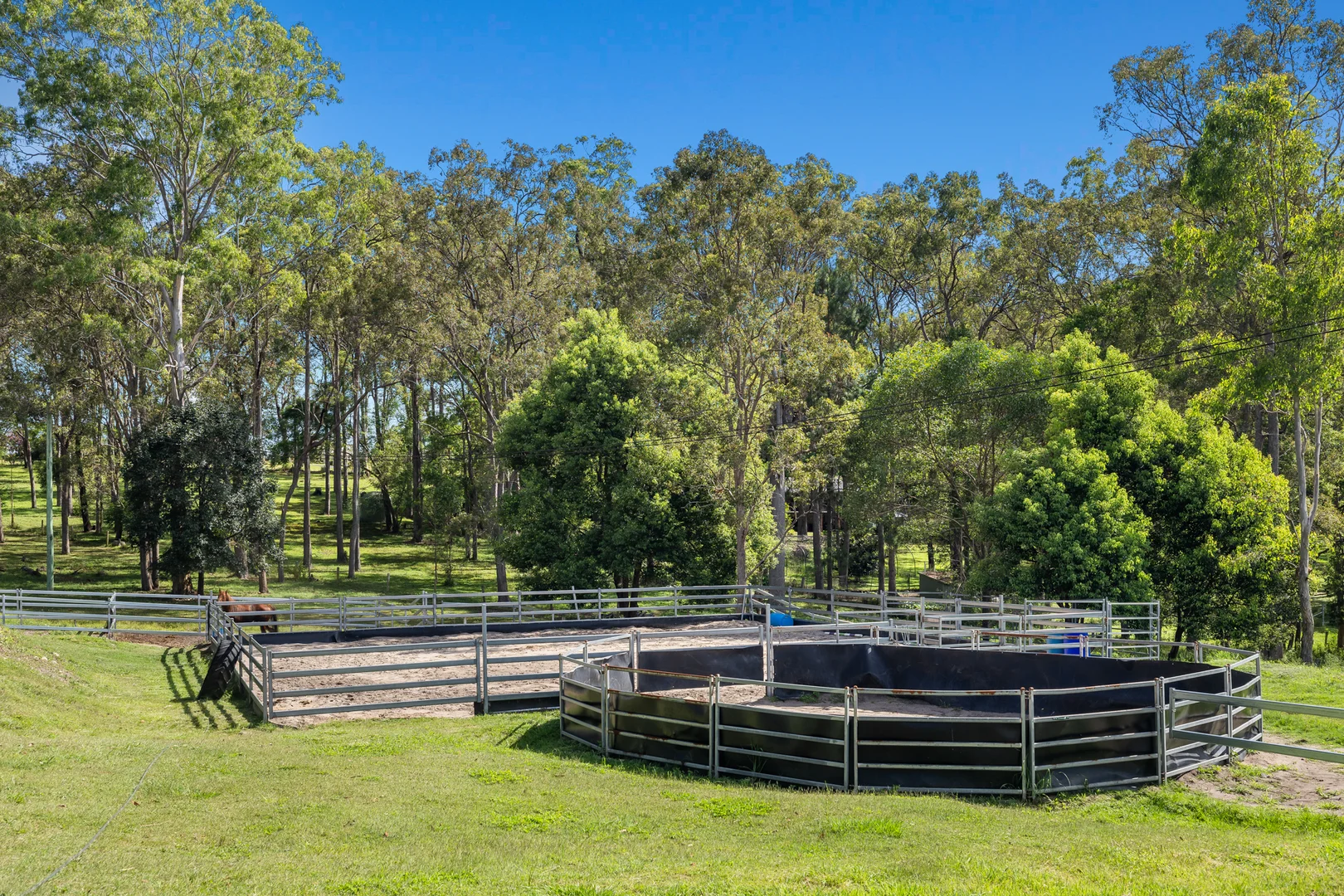 Additional image 19 of 127 Runnymede Road, Kyogle NSW 2474