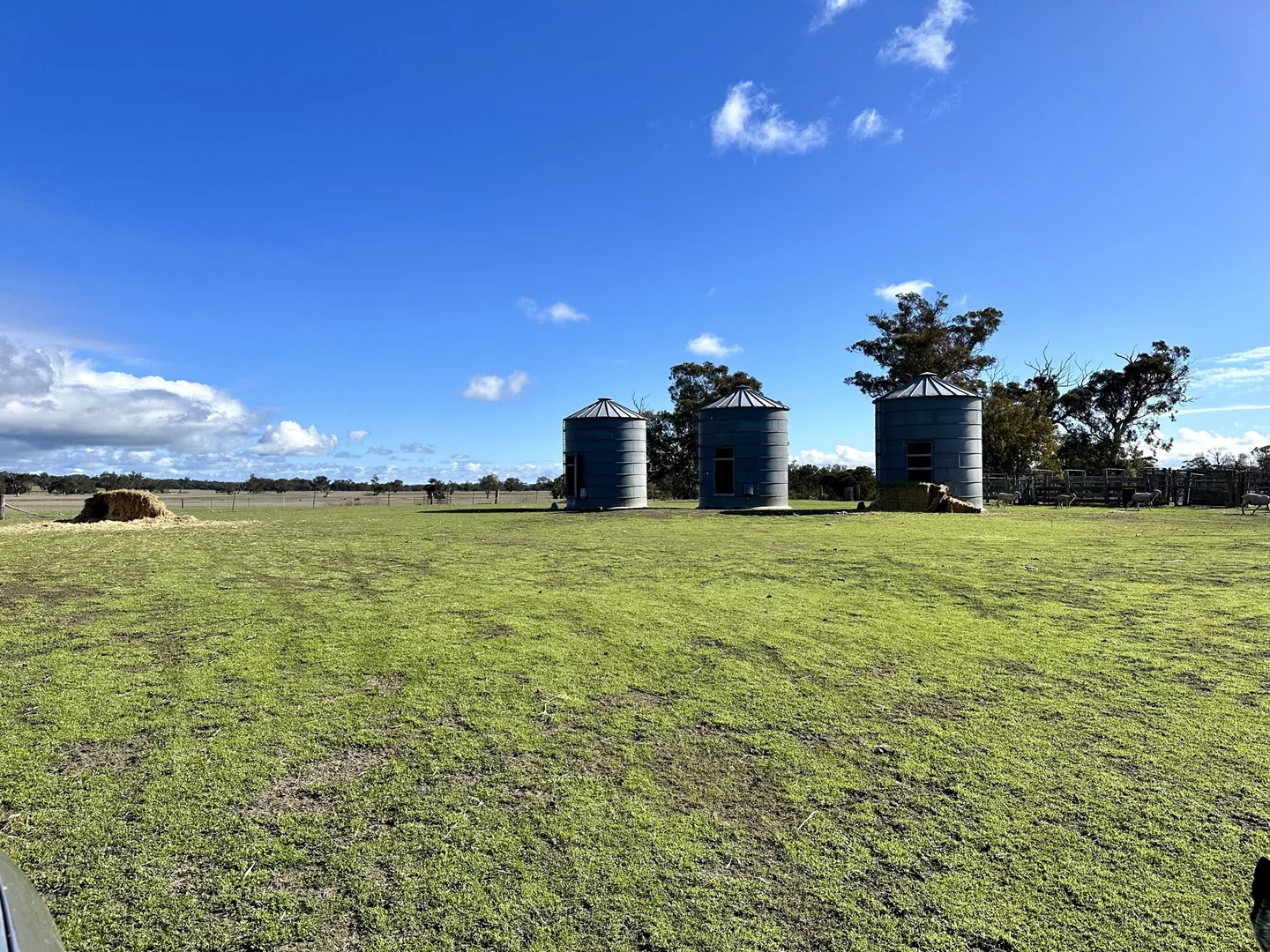 Additional image 25 of 331 Clitchbury Road, Frankland River WA 6396