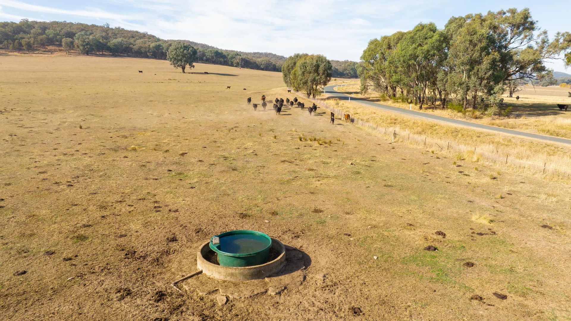 Additional image 13 of 979 Four Mile Lane, Little Billabong NSW 2644