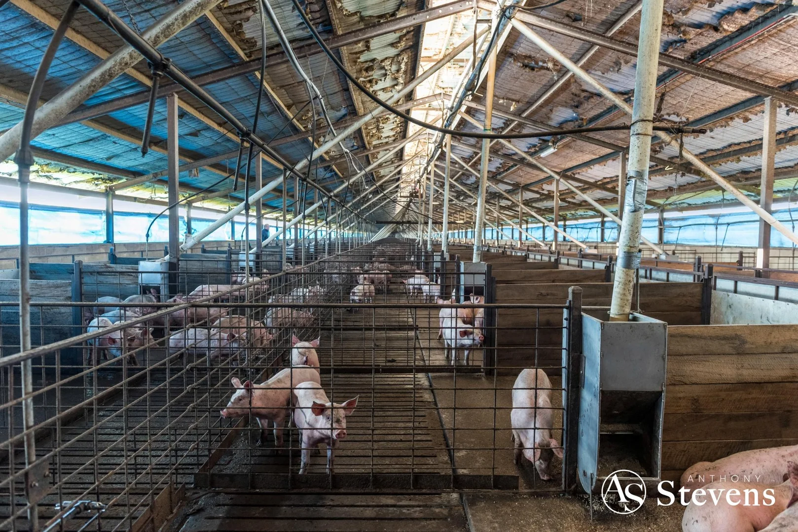 Additional image 7 of 499 Old Wedderburn Road, Slaty Creek VIC 3477