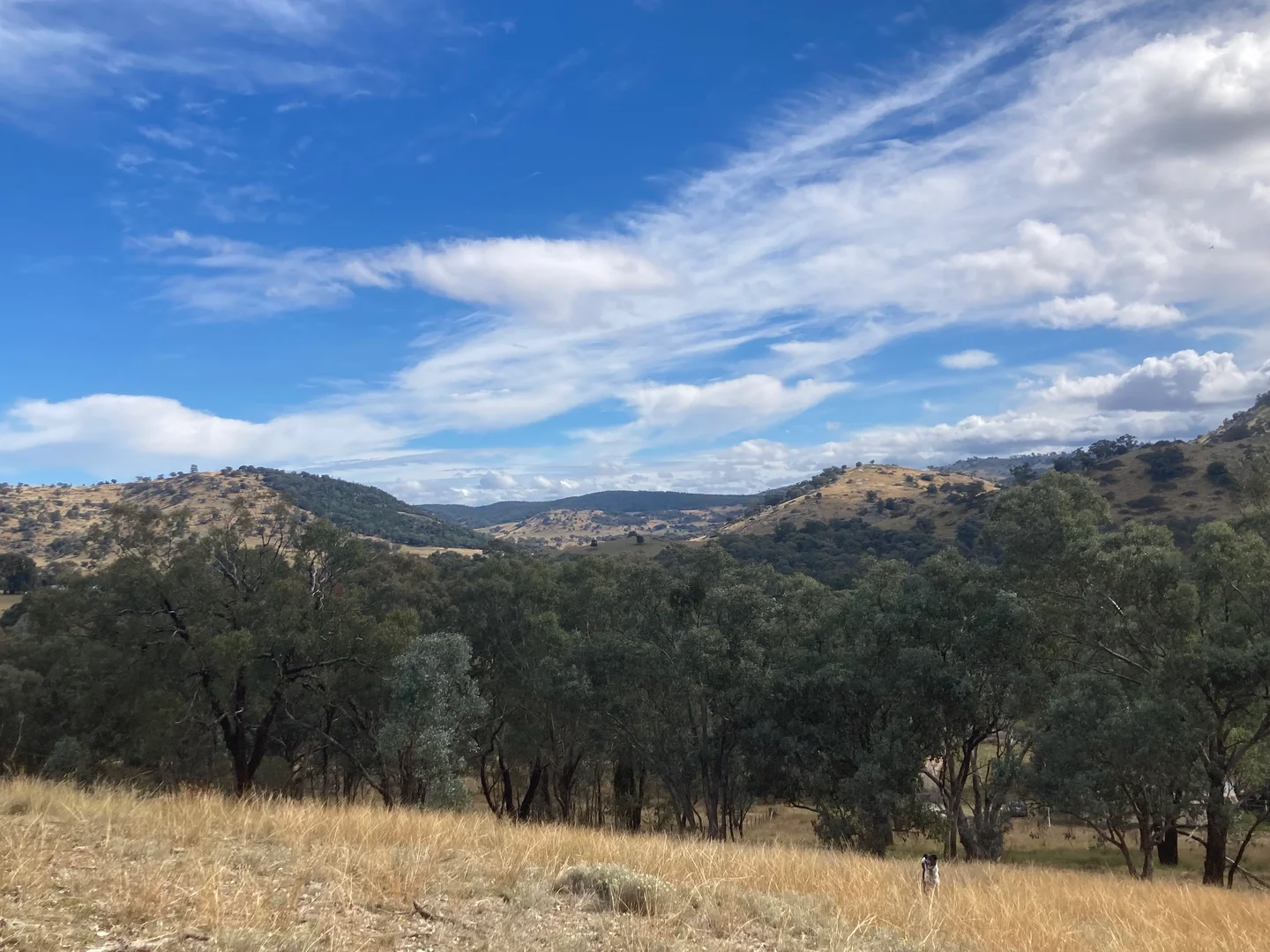 Additional image 10 of 27 Oak Street, Reids Flat NSW 2586