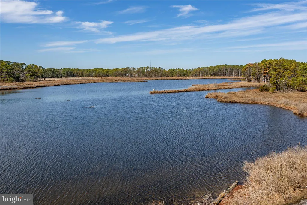 Additional image 78 of 310 W 2nd St, South Bethany, DE 19930