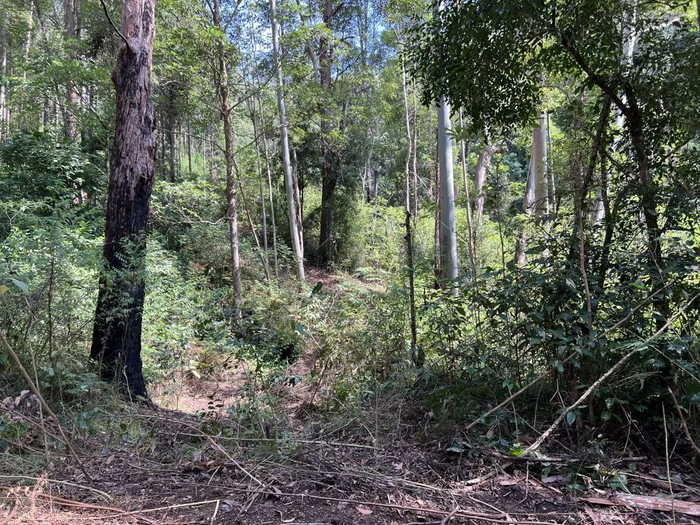 Additional image 4 of Comara NSW 2440