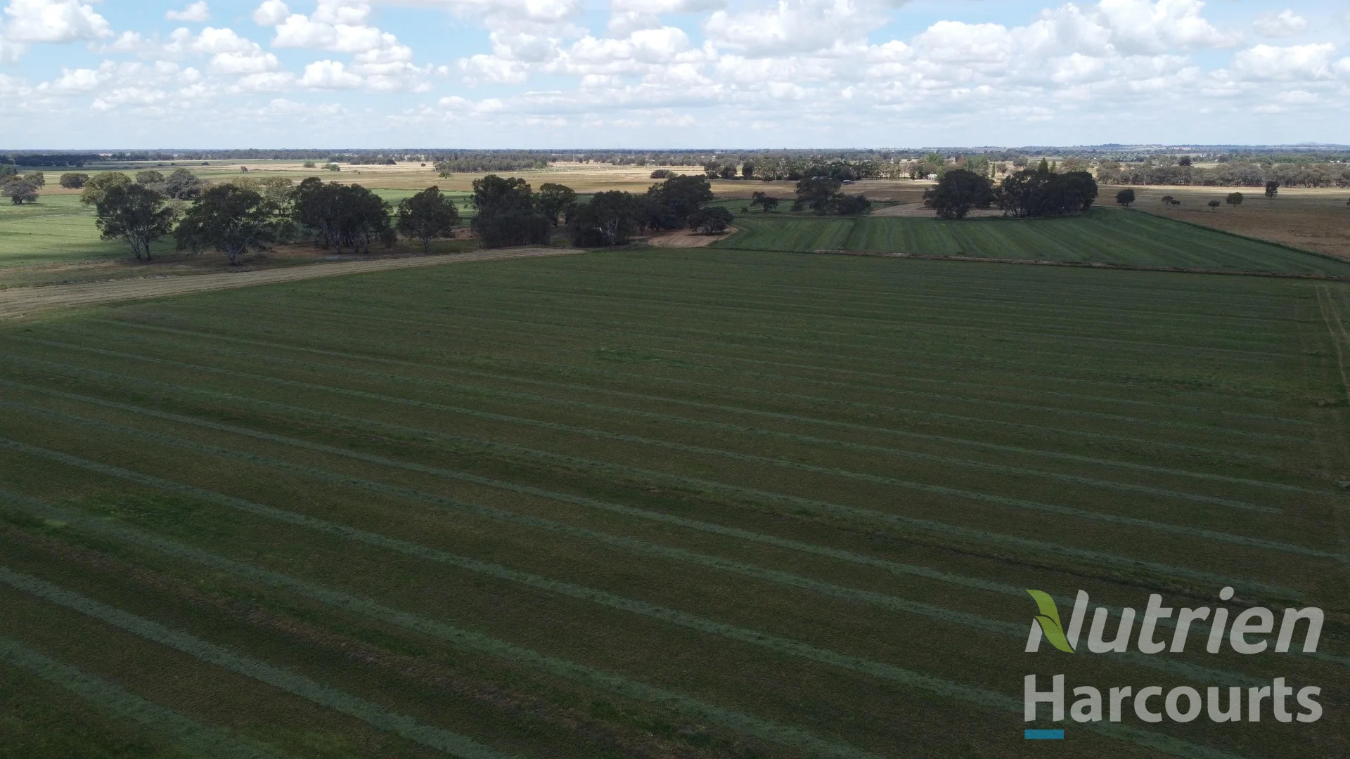 Additional image 8 of . Echuca Nanneella Road, Nanneella VIC 3561