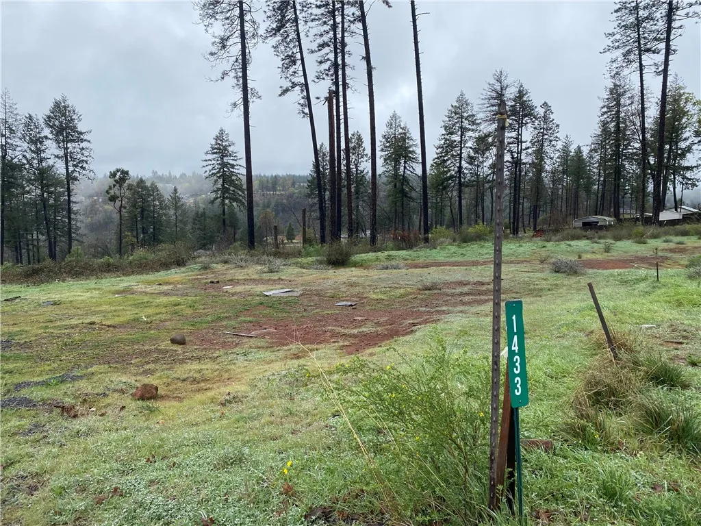 Additional image 30 of 8941 Skyway, Paradise, CA 95969