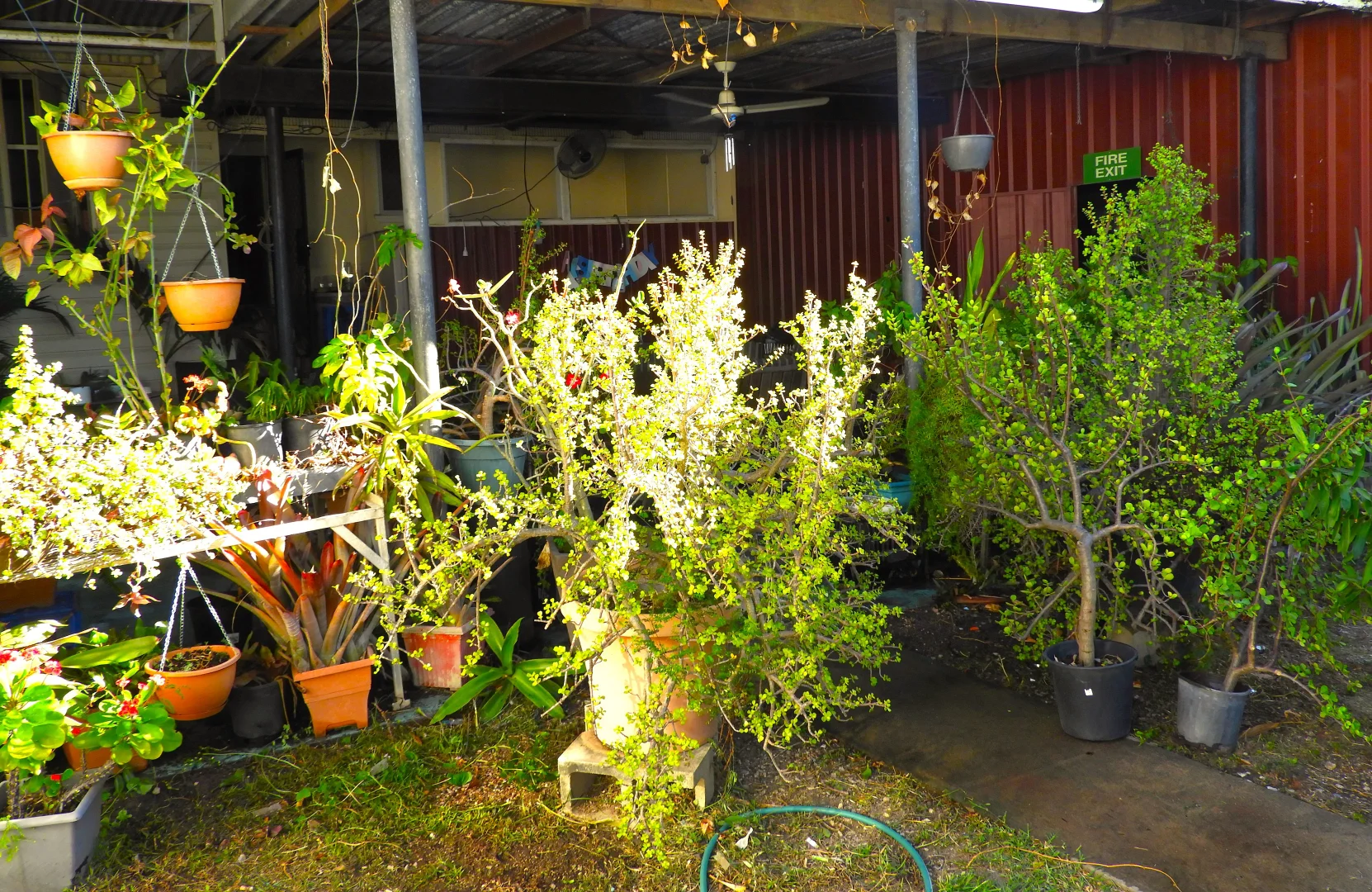 Additional image 13 of 56 Drysdale Street, Brandon QLD 4808