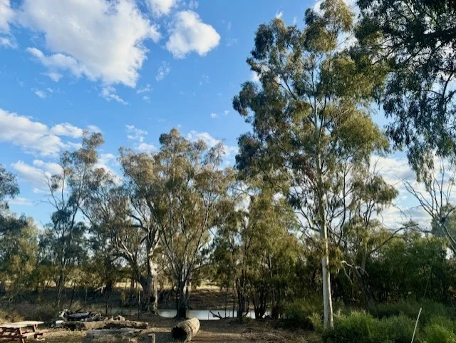 Additional image 3 of 2 MURRAY STREET, Moulamein NSW 2733