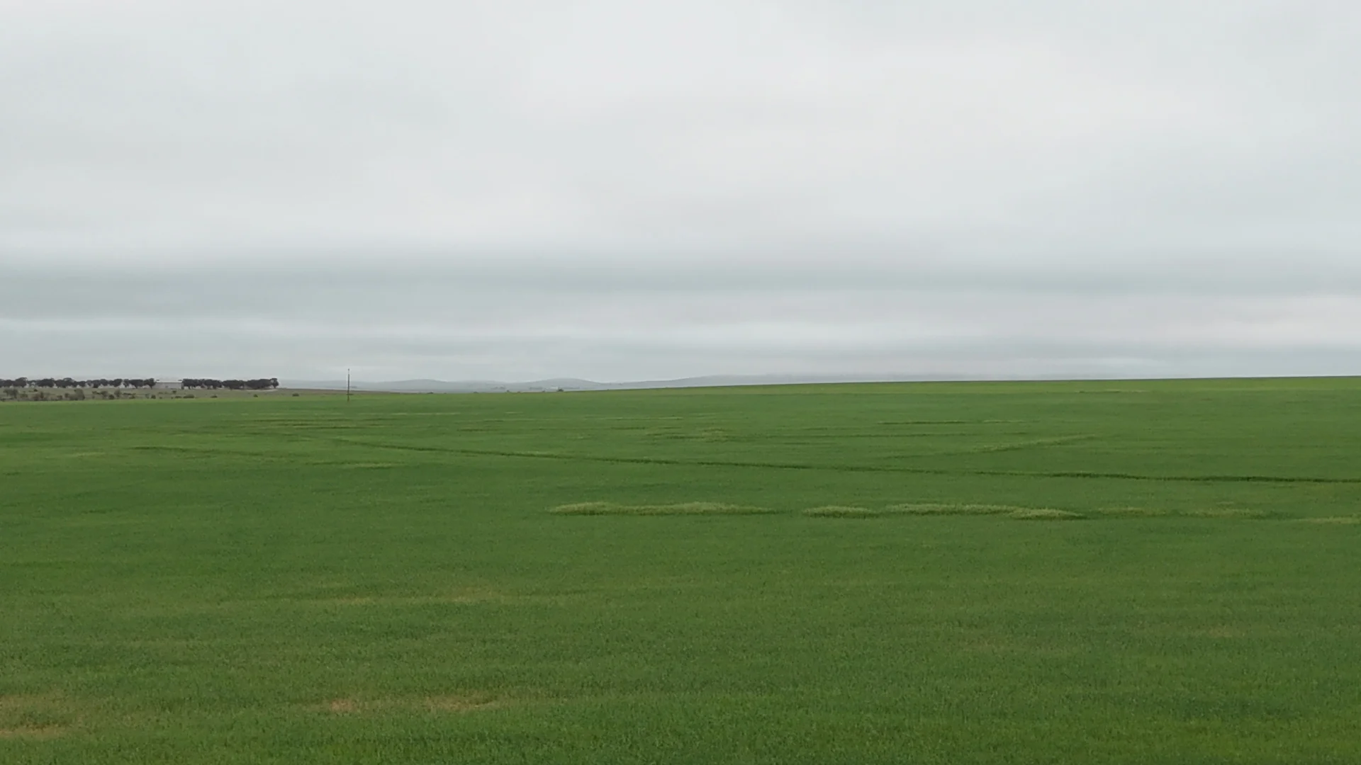 Additional image 18 of 26 Amyton Road, Willowie SA 5431