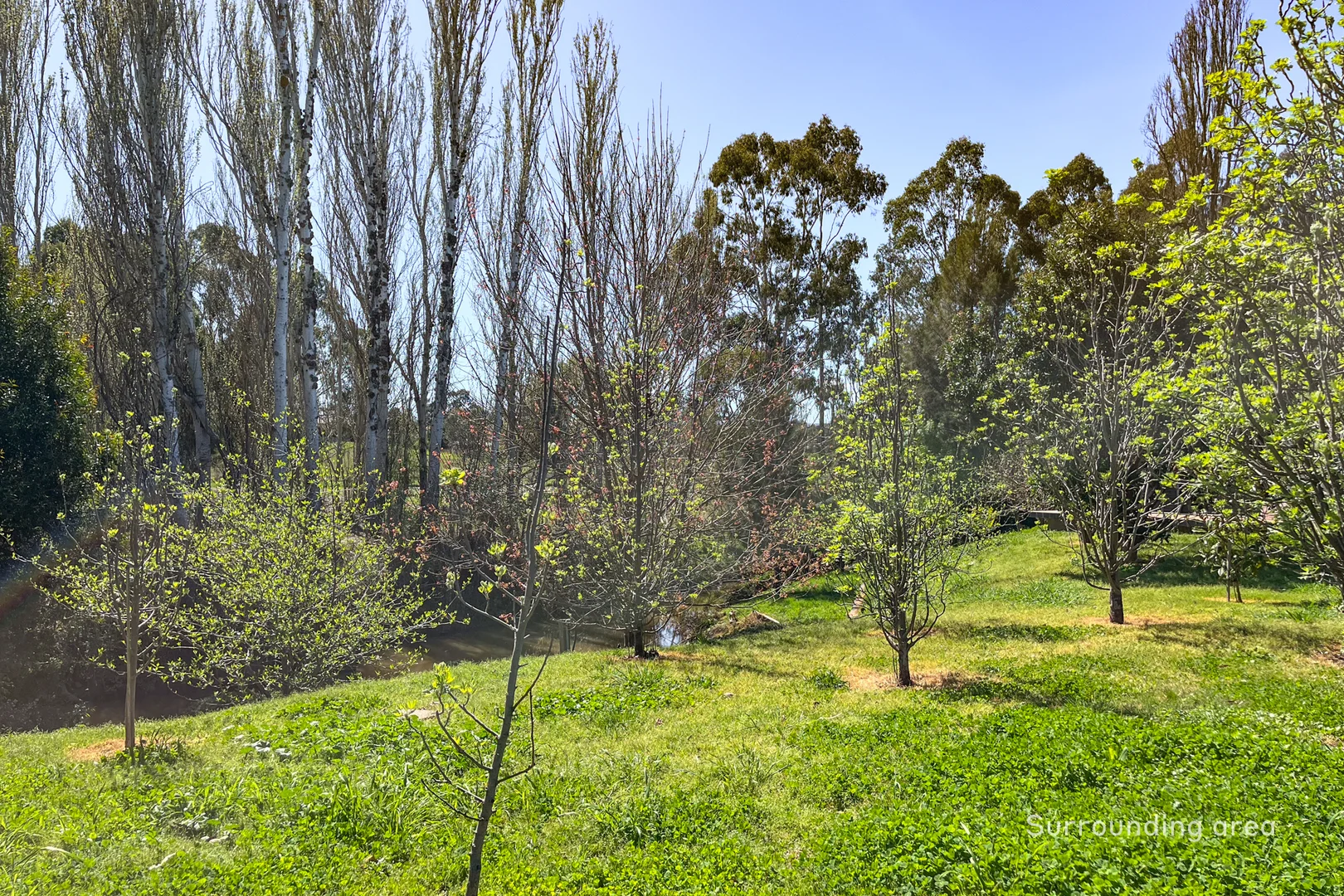 Additional image 7 of 12 Baldry Street, Mansfield VIC 3722
