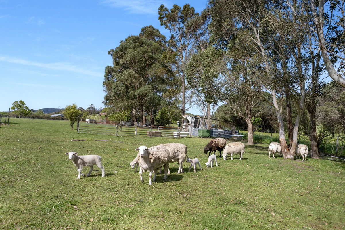 Additional image 17 of 23 Fahl Lane, Jaspers Brush NSW 2535