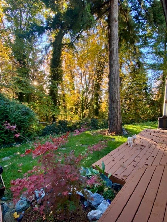 Additional image 4 of 10987 Collings Place, Delta, BC, V4C 7E7