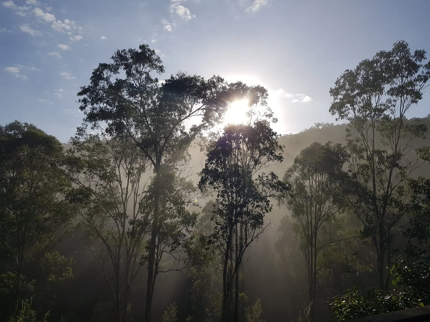 Additional image 30 of 56 Bakers Oven Lane, Laguna NSW 2325