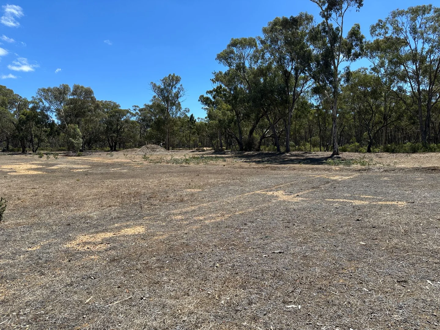 Additional image 3 of 206 Williams Road, Carisbrook VIC 3464