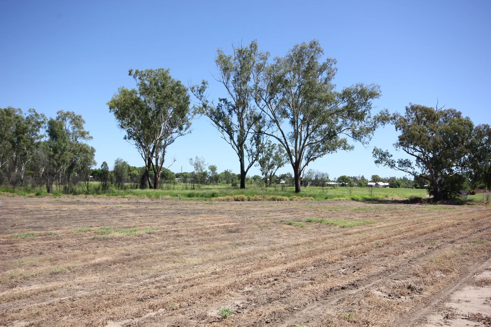 Additional image 17 of Corcoran - Sandalwood Drive, Goondiwindi QLD 4390