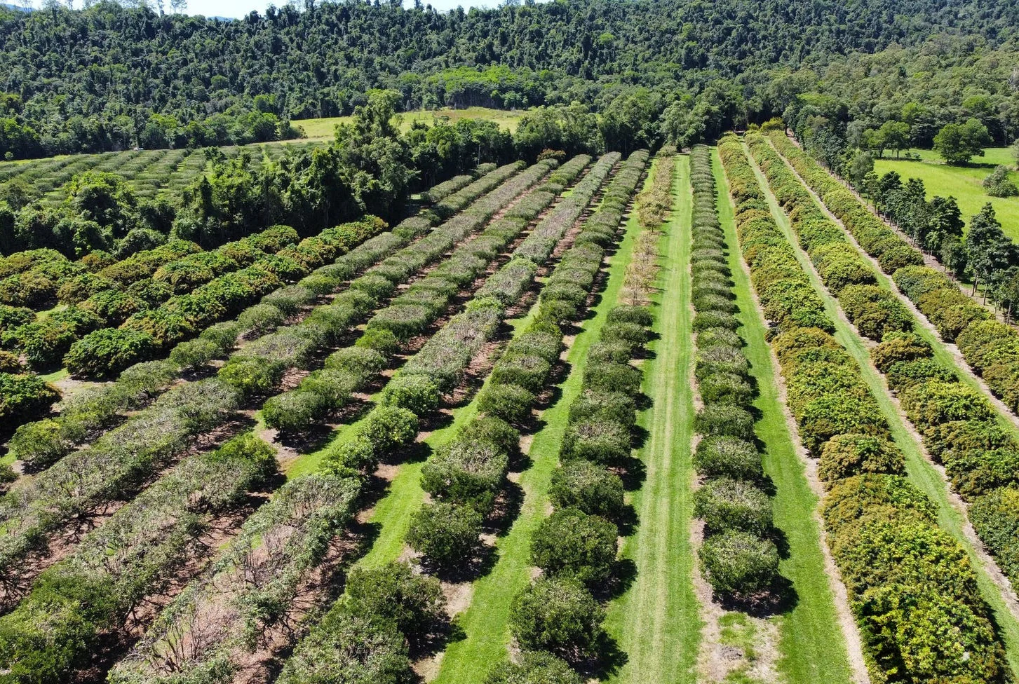 Additional image 39 of 281 Dingo Pocket Rd, Dingo Pocket QLD 4854