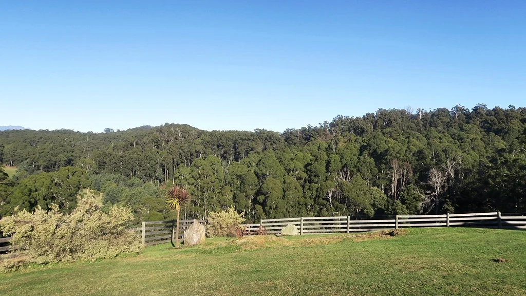 Additional image 26 of 229 Melrose Road, Aberdeen TAS 7310