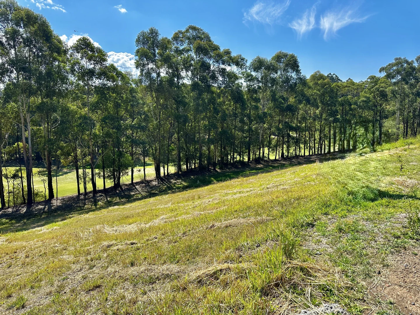 Additional image 4 of 7 Golden Wattle Way, Tallwoods Village NSW 2430