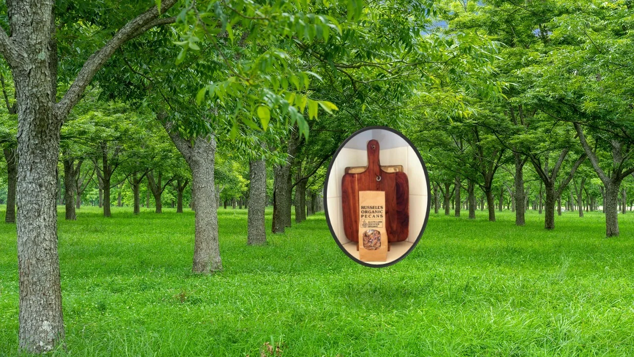 139 Homestead Road, Kyogle NSW 2474