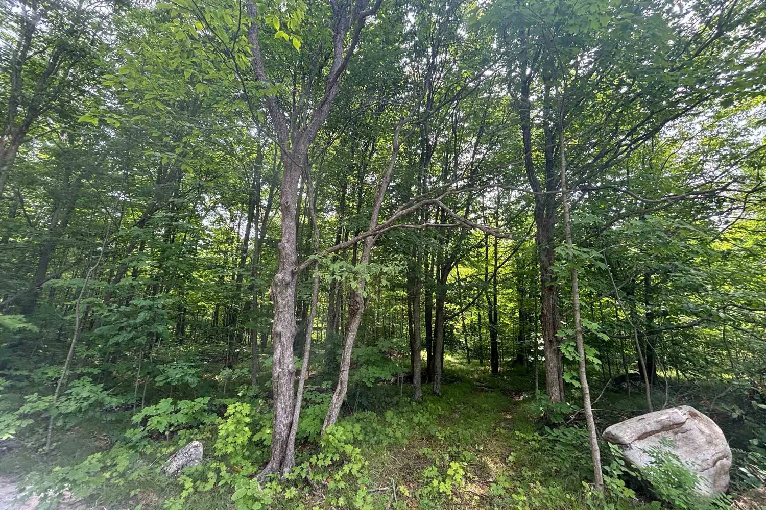 Additional image 3 of 554 Pigden Road Severed B