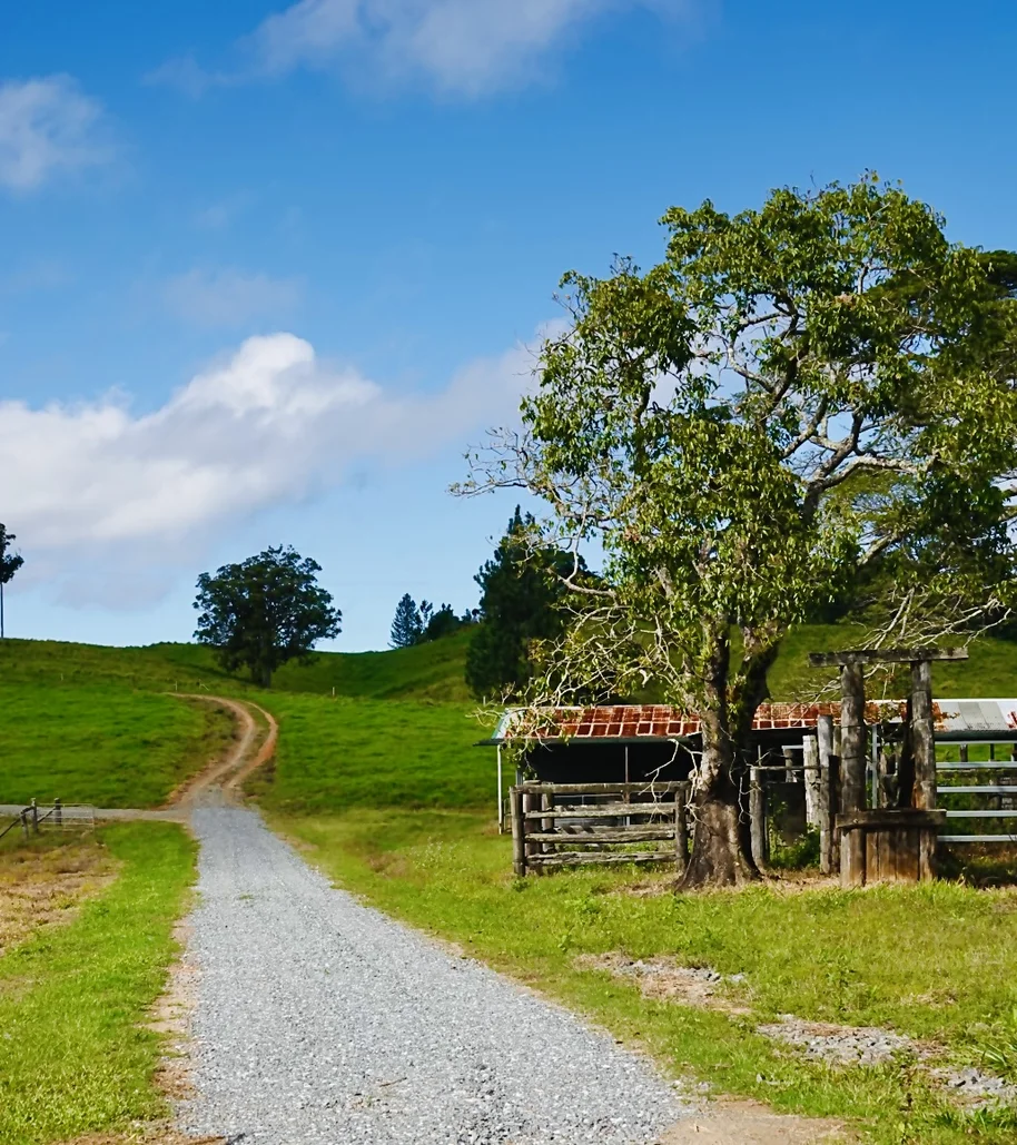 Additional image 34 of 1297 Mossman - Mt Molloy Rd, Julatten QLD 4871
