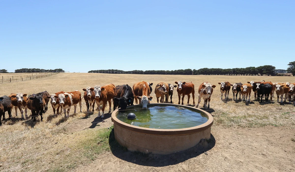 Additional image 2 of 4577 Princes Highway, Yambuk VIC 3285