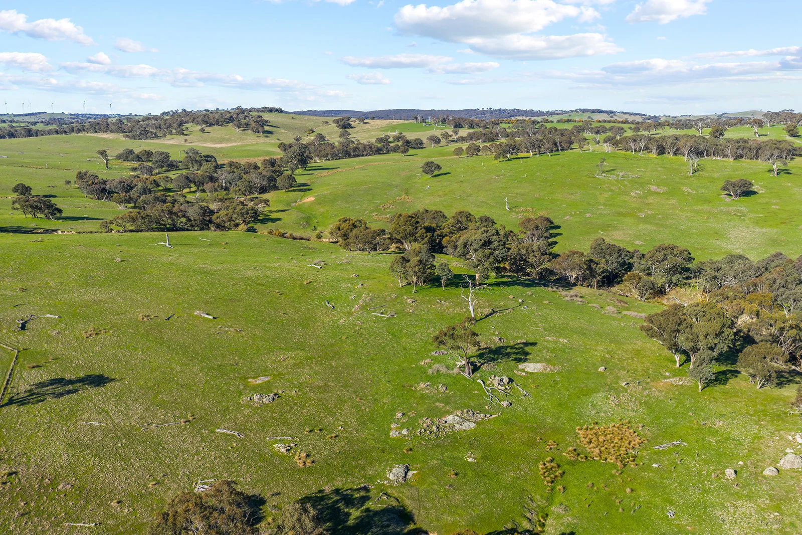 Additional image 32 of 1432 Lachlan Valley Way, Laverstock NSW 2582