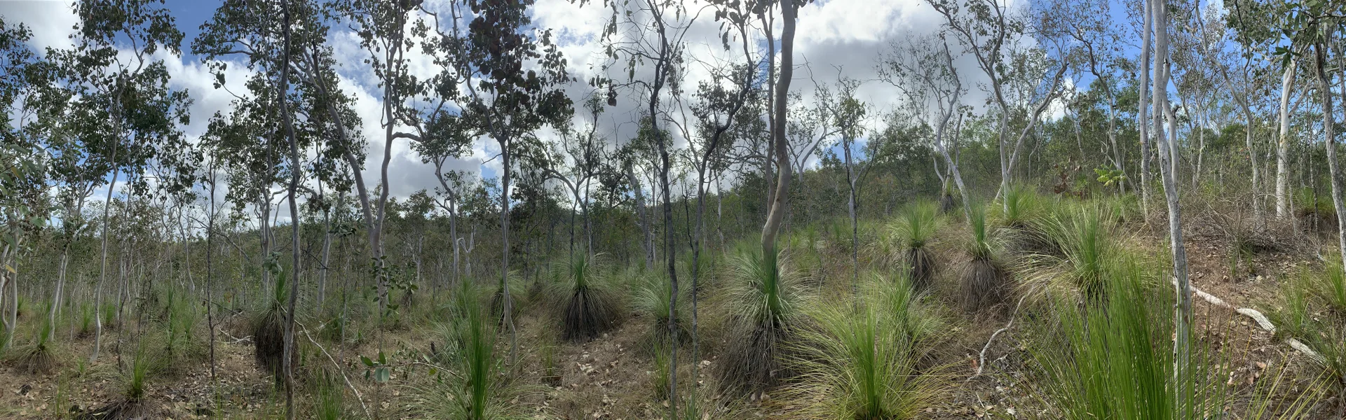 Additional image 17 of LOT 36 Whitsunday Dr, Bloomsbury QLD 4799