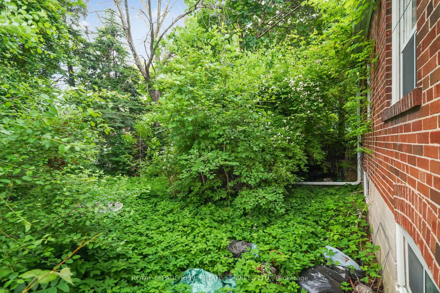 Additional image 19 of 326 Lawrence Avenue