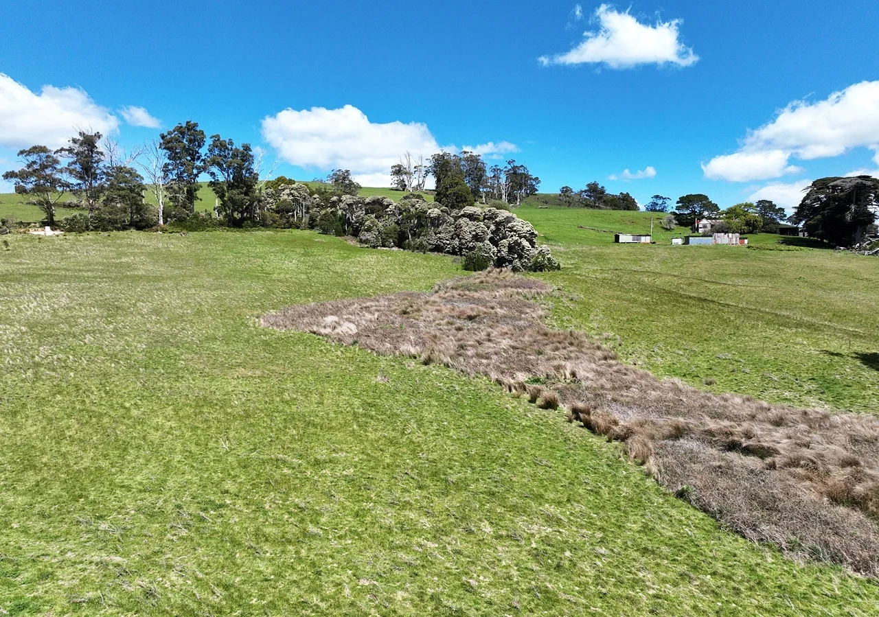 Additional image 24 of Lot 2 Storys Road, Lebrina TAS 7254