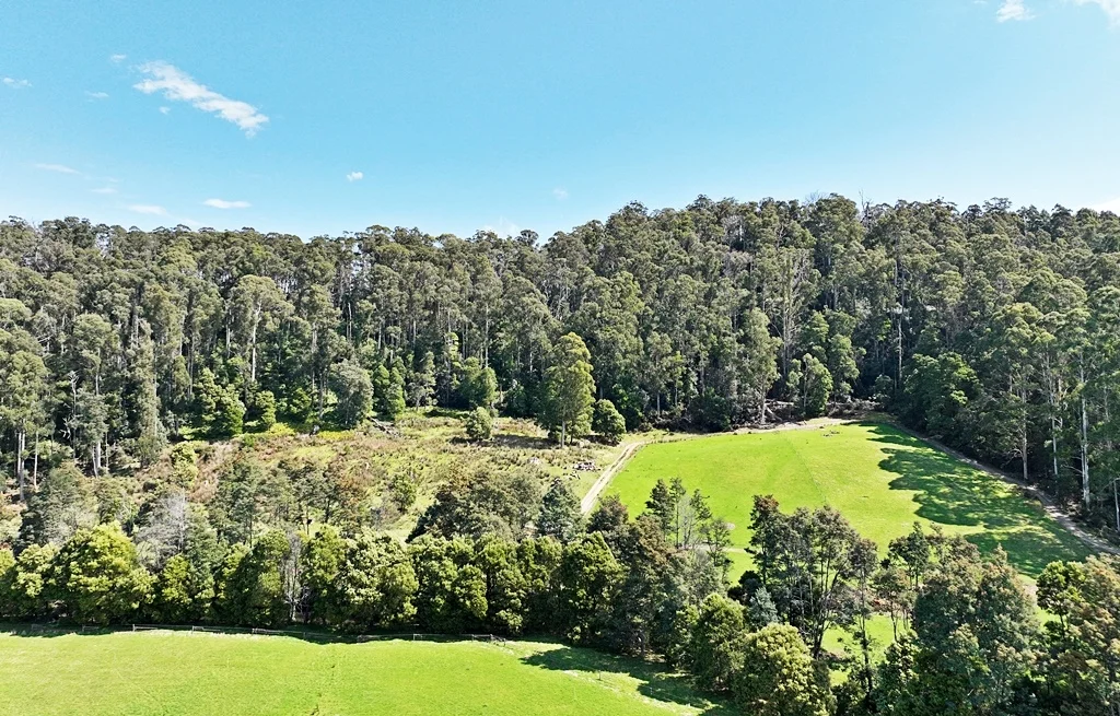 Additional image 34 of 229 Melrose Road, Aberdeen TAS 7310