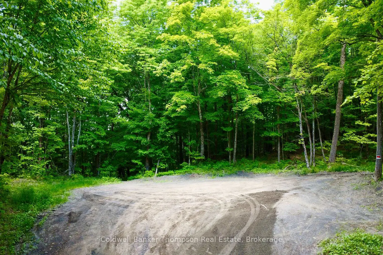 Additional image 12 of 265 Sharon Drive